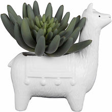 Llama Planter - Meyer's Market