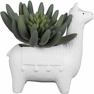 Llama Planter - Meyer's Market