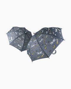 Color Changing Umbrella - Meyer's Market