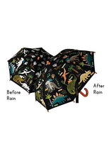 Color Changing Umbrella - Meyer's Market