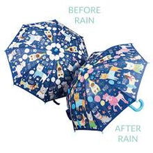 Color Changing Umbrella - Meyer's Market