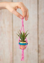 Macrame Succulent - Meyer's Market
