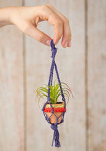 Macrame Succulent - Meyer's Market