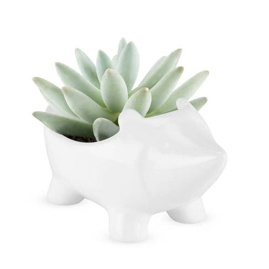 Hedgehog Planter - Meyer's Market