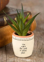 Succulent - Meyer's Market